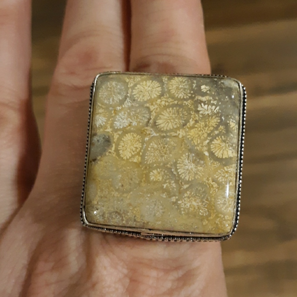 New Oversized Fossil Coral 925 Silver Statement Ring.